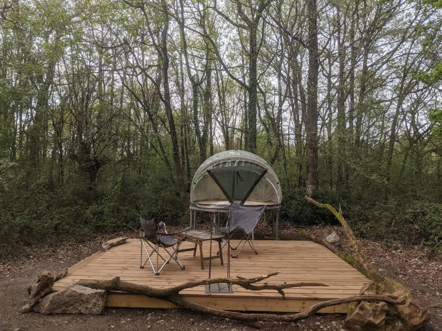 Hotel Le Bois Davy Le Thoureil Exterior foto